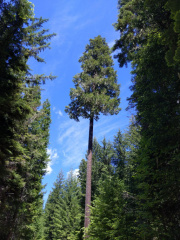 signal-2022-06-24-215208 019